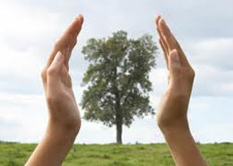 Environment and agriculture