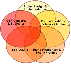 CSR concepts and strategies, project design, partner identification, audits and brand positioning